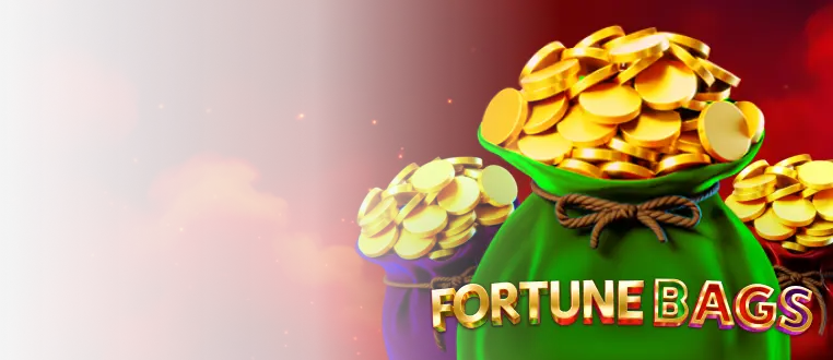 Fortune Bags